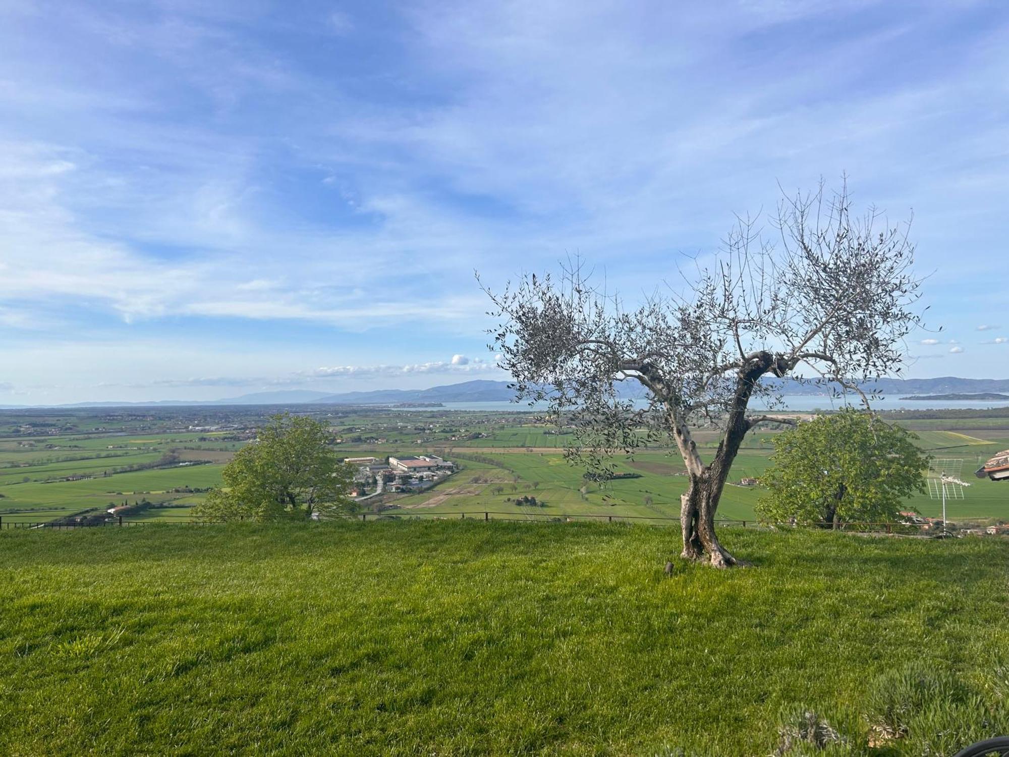 Boutique Hotel Masolino Panicale Luaran gambar